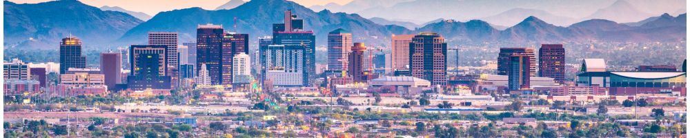 Phoenix Business Community Landscape the City of Phoenix