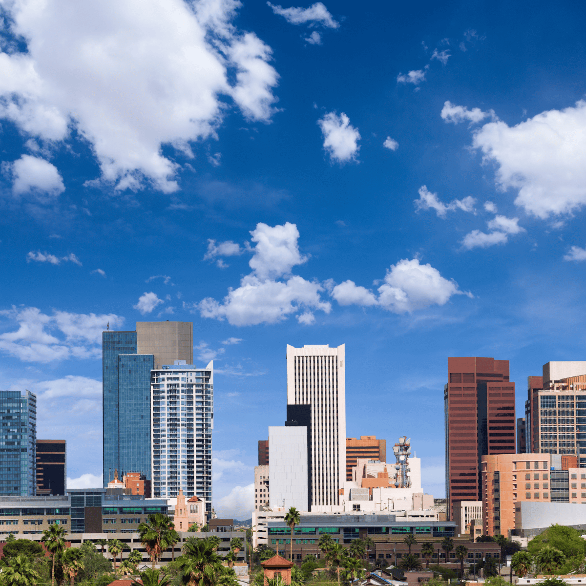 Downtown Phoenix skyline with modern office towers, palm trees, and a bright blue sky with white clouds.